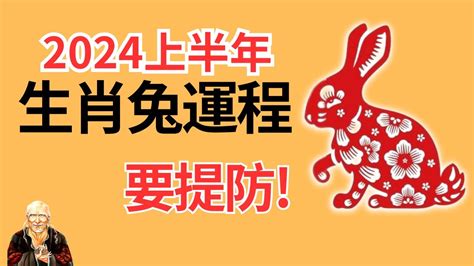 屬兔運勢2024|屬兔2024運勢前瞻：每月運程詳析